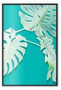 Poster: Monstera alla menta - foglie verdi di monstera su sfondo color menta