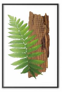 Poster: Determinazione natura - pianta verde e legno su sfondo bianco