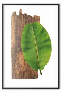 Poster: Serietà della natura - foglia verde e pezzo di legno su sfondo bianco