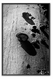 Poster: Frammento foresta - albero con fungo sulla corteccia