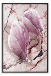 Poster: Magnolia marmorea - fiori rosa su sfondo di texture marmorea bianca