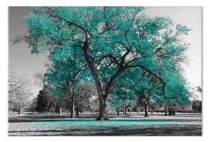 Quadro su tela Autunno nel parco turchese largo