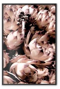 Poster: Orfeo - piante naturali con fiori bianchi e dettagli viola