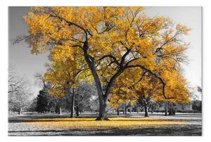 Quadro moderno Autunno nel parco largo oro