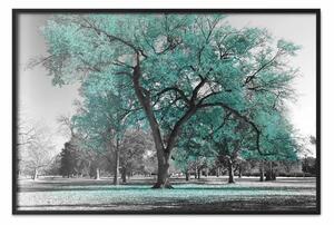 Poster: Autunno nel parco (turchese) - albero grigio con foglie turchesi