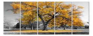 Quadro moderno Albero antico - paesaggio autunnale, albero e foglie d'oro