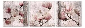 Quadro Texture Floreale del Rosa - magnolie in una natura rustica