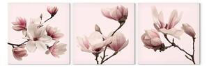 Quadro contemporaneo Spectrum Rosa della Natura - delicato fiore di magnolia