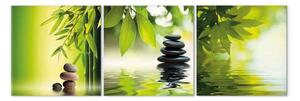Quadro su tela Oriente Verde sulle Acque - esotica zen natura dei fiori