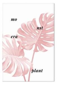 Quadro moderno Foglie di monstera rosa con scritta