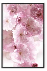 Poster: Nebbia floreale - paesaggio con molti fiori rosa su sfondo bianco