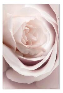 Quadro contemporaneo Charme Pastello - rosa in fiore nella natura