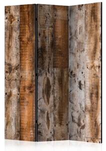 Paravento Legno antico - texture di tavole di legno naturalmente marroni