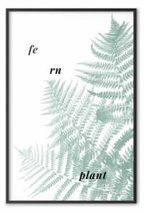 Poster: Pianta di Felce - foglia verde con scritte in inglese su sfondo bianco