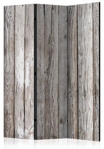 Paravento separè Legno scandinavo - texture di tavole di legno naturalmente grigie