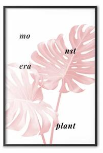 Poster: Pianta di Monstera - foglia tropicale con scritte