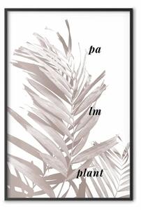 Poster: Pianta di Palma - foglia di palma con scritte
