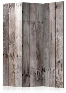 Paravento design Legno centenario - texture di tavole di legno grigie con piccoli nodi