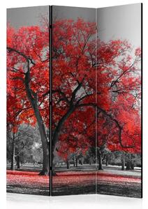 Paravento design Autunno nel parco - paesaggio in bianco e nero con foglie rosse