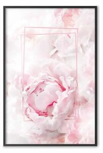Poster: Bellezza effimera - figure rettangolari e fiori rosa alla luce