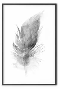 Poster: Effimero - piuma nera su sfondo bianco