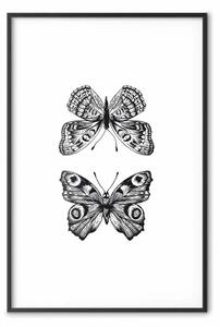 Poster: Due farfalle - insetti in bianco e nero decorati