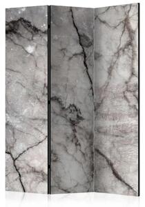 Paravento separè Marmo grigio - texture di marmo grigio con disegni scuri