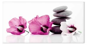 Quadro su tela Molluschi sereni rosa