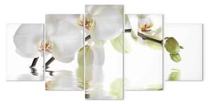 Quadro moderno Orchidea - motivo astratto con un fiore bianco su uno sfondo bianco
