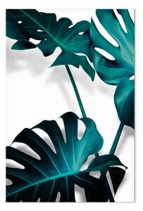 Quadro moderno Monstera in fiore – colore smeraldo della natura vegetale
