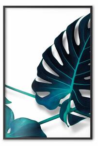 Poster: Fiore marino - foglia tropicale verde su sfondo bianco contrastante