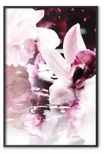 Poster: Orchidea sensuale - paesaggio fantasioso di fiori naturali di orchidea