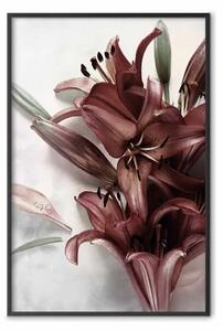 Poster: Forma floreale - pianta fiori rossi su sfondo cementizio