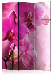 Paravento separè Orchidea rosa - paesaggio floreale di orchidee rosa