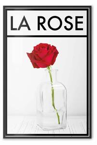 Poster: La Rosa - scritte in inglese e rosa rossa in un vaso d'acqua