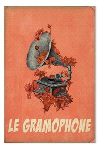 Quadro su tela Grammofono grigio con fiori - tema musicale con la parola in francese