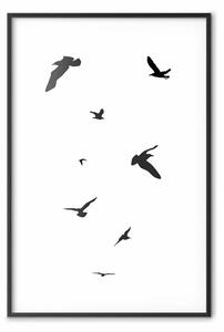 Poster: Volo serale - uccelli fantastici in bianco e nero su sfondo bianco