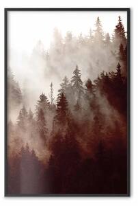 Poster: Bosco bruno - paesaggio tra alberi nella nebbia