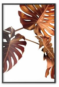 Poster: Giardino dorato - foglie tropicali color rame su sfondo bianco