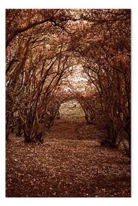 Quadro contemporaneo Corridoio con alberi - paesaggio autunnale coperto di foglie