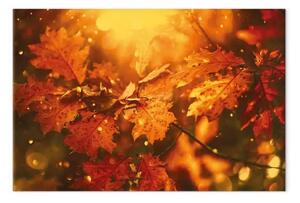 Quadro su tela Foglie di quercia autunnale - foto di foglie d'oro al sole