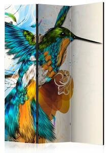 Paravento design Musica degli uccelli - fantasia colorata con colibrì