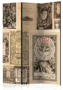 Paravento separè Libri vintage - composizione con vecchi libri in stile retrò
