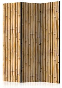 Paravento design Muro amazzonico - motivo marrone con motivo vegetale