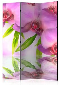 Paravento separè Spa orchidea - fiori rosa riflessi nell'acqua