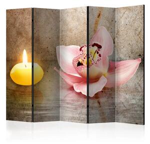 Paravento design Serata romantica II - orchidea rosa su sfondo beige