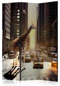 Paravento separè Giraffa in città - animale in una strada trafficata