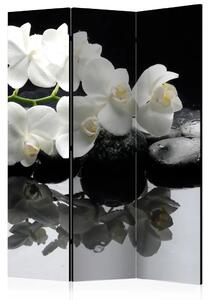 Paravento design Pietre e orchidea - composizione floreale su sfondo nero