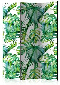 Paravento design Foglie della giungla - modello di piante tropicali