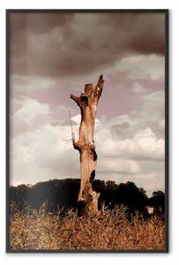 Poster: Ricordo del cielo - tronco d'albero su prato con cielo